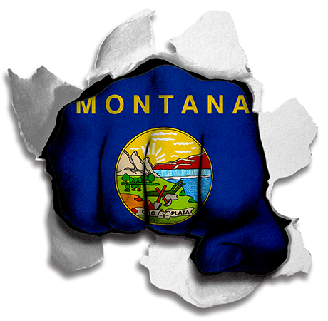 Fist Montana State Flag Logo iron on paper